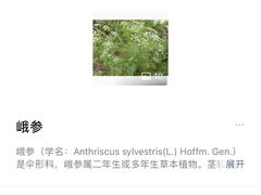 -南山风景名胜区