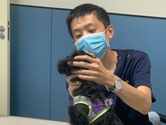 -凯瑞希宠物医院·狂犬免疫·微创·皮肤科