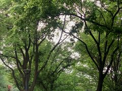 -惠山国家森林公园