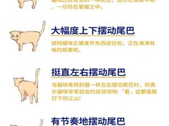 -lincat·猫舍(广州店)