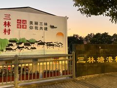 -三林塘老街