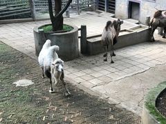 -昆明动物园