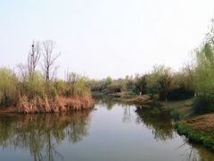 -白鹭湾湿地公园