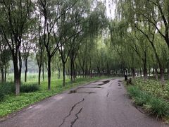 -东郊湿地公园