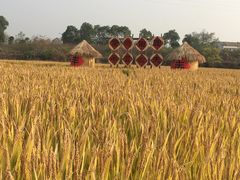 -武汉紫薇都市田园