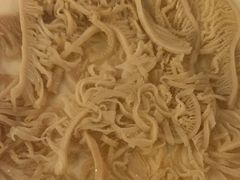 -成渝龙火锅(都江堰店)