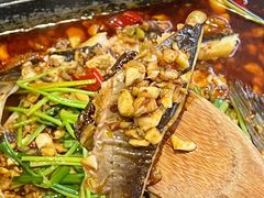-黑猫馋纸包鱼(阳光店)