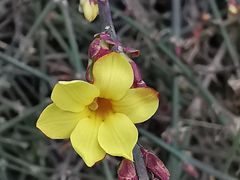 -丰台花园