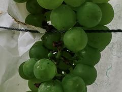 -马陆小张葡萄园农家乐