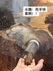 -Zoolung Zoolung动物主题公园(海信广场店)