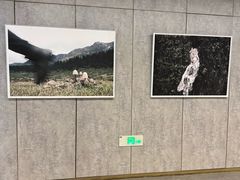 -山下C5cafe(惠通时代广场店)