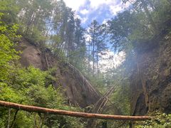 -峡谷浮石林景区