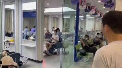 点击看大图 -大麦微针植发全国连锁