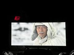 -枫花园汽车电影院(朝阳公园店)