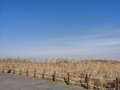 -盐城丹顶鹤湿地生态旅游区