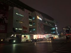 -圣爵菲斯大酒店(长沙世界之窗店)