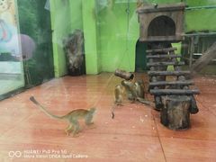 -荆州中山公园动物园