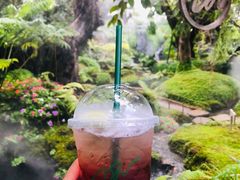 -Chom Cafe and Restaurant