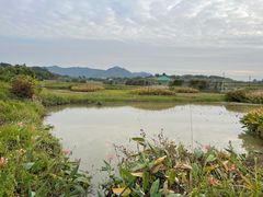 -光明小镇欢乐田园
