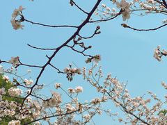 -堤角公园