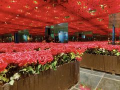 -梵高星空艺术馆(北京旗舰店)