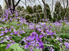 -白塘生态植物园