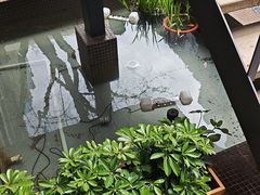 -羊门客在·烤盐池滩羊·川菜