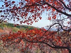 -鬼笑石后山停车场