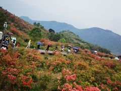 -瑞安圣井山景区