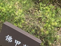 -眉山湿地公园(东坡区)