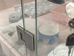 -FAELING PETS美天灵宠物(富力广场店)