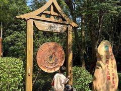 -南宁良凤江国家森林公园