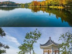 -山水茶艺馆·点心粤菜·30年老字号