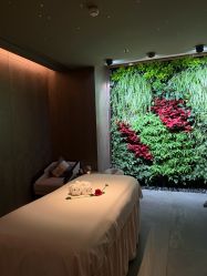 -VELEE·SPA高定疗愈会所