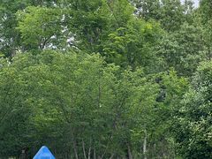 -昆山城市生态森林公园