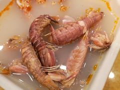 -鸿达渔港