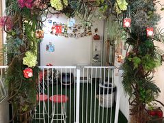 -Husky Go! 哈士奇体验馆·宠物咖啡厅狗咖