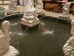 -三亚海棠湾南田温泉神龙谷