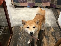 -三目仓咖啡(贤南路店)