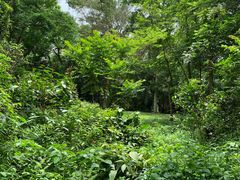 -广西壮族自治区药用植物园
