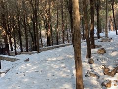 -白佛山景区