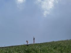 -白草畔自然风景区