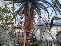 -北京植物园-展览温室