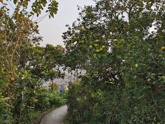 -缙云山景区