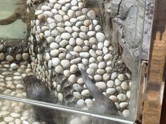 -南昌融创海世界