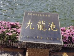 -翠湖公园