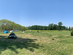 -天津武清北运河郊野公园房车露营地