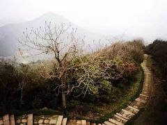 -杭州半山国家森林公园