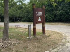 -上海海湾国家森林公园