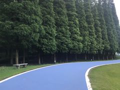 -宜兴龙背山森林公园